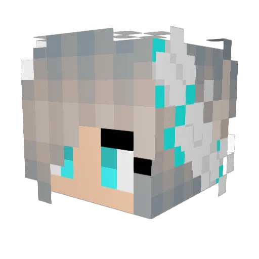 Fox_Silver Minecraft avatar head, 3D render