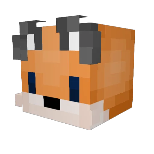 Foxaco Minecraft avatar head, 3D render
