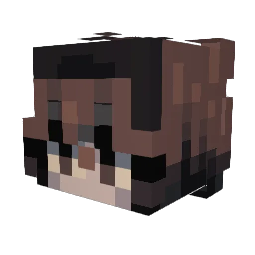 Foxardt Minecraft avatar head, 3D render