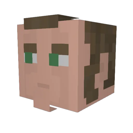 Foxbot09 Minecraft avatar head, 3D render