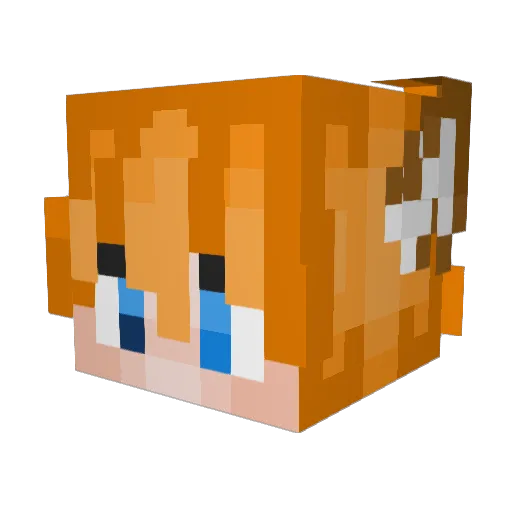 FoxboyFemboyMC Minecraft avatar head, 3D render
