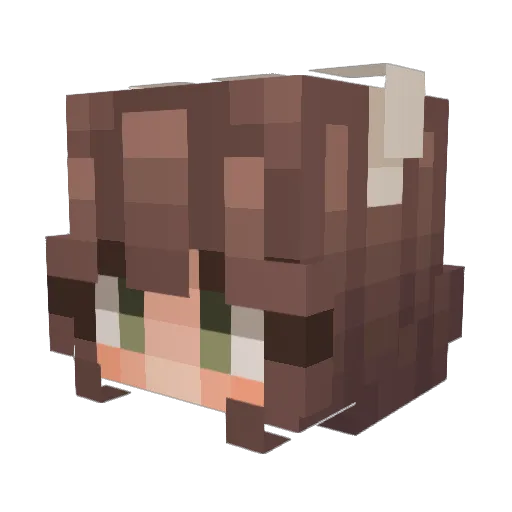 Foxcraft000 Minecraft avatar head, 3D render