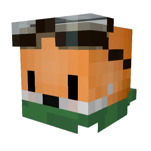 Foxcraft29 Minecraft avatar head, 3D render