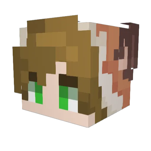 Foxczech1 Minecraft avatar head, 3D render