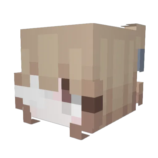 Foxeenn Minecraft avatar head, 3D render