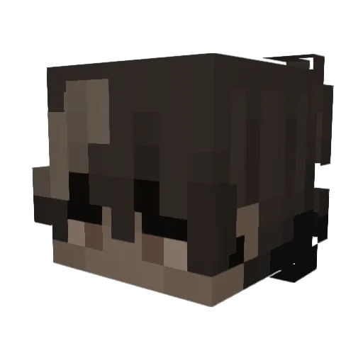 Foxens Minecraft avatar head, 3D render