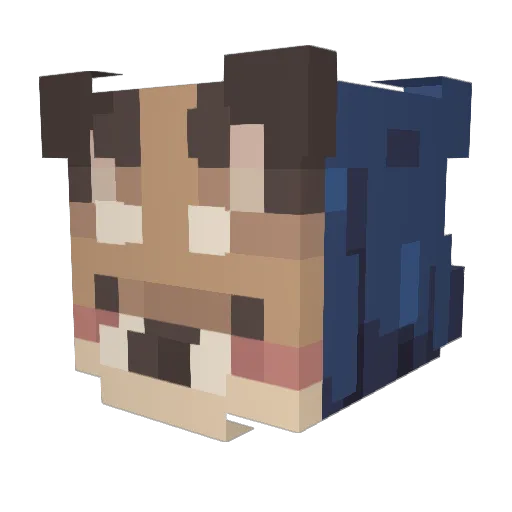 Foxeq2137 Minecraft avatar head, 3D render
