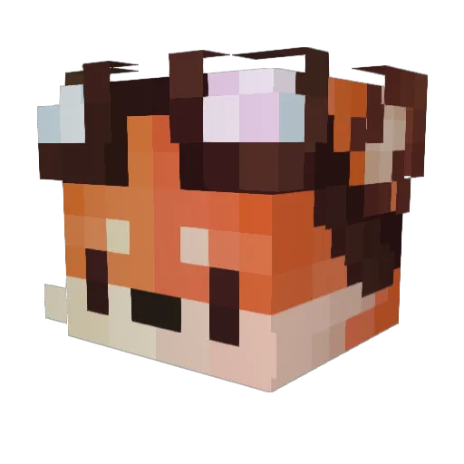 Foxer00 Minecraft avatar head, 3D render