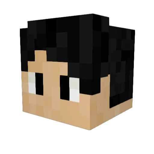 Foxful_Nate Minecraft avatar head, 3D render