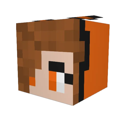 Foxgamer2048 Minecraft avatar head, 3D render