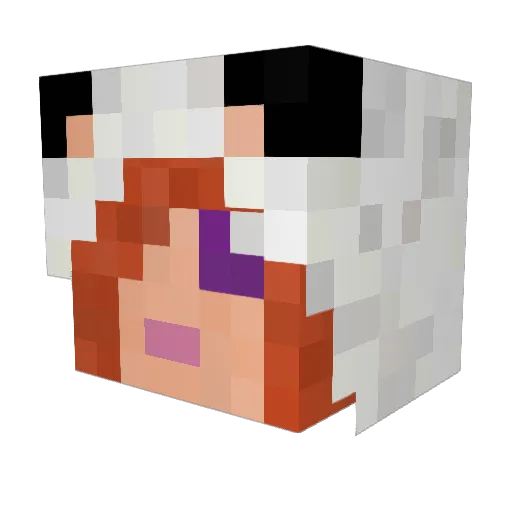 Foxi2912 Minecraft avatar head, 3D render