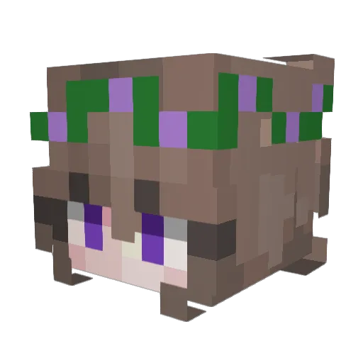 FoxiGaming Minecraft avatar head, 3D render