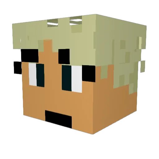 Foxidox222 Minecraft avatar head, 3D render