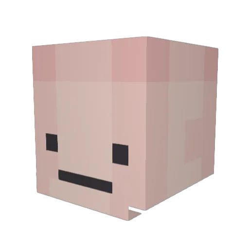 Foxihyun Minecraft avatar head, 3D render