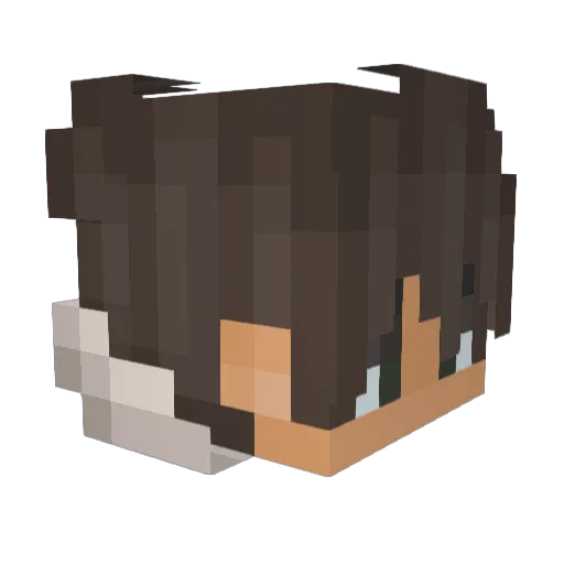 Foxin31 Minecraft avatar head, 3D render