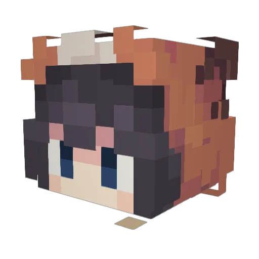 FoxingRox Minecraft avatar head, 3D render