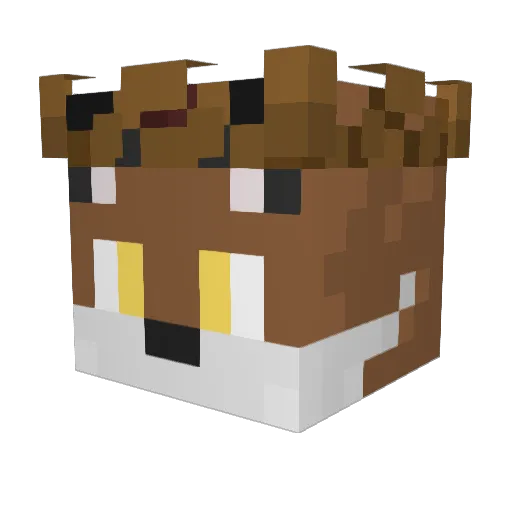 Foxiowaty Minecraft avatar head, 3D render