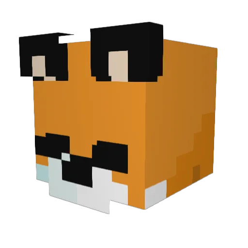 FoxisJr1 Minecraft avatar head, 3D render