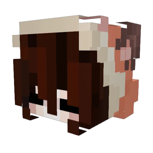 Foxishen Minecraft avatar head, 3D render
