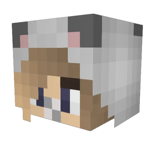 Foxlynn33 Minecraft avatar head, 3D render