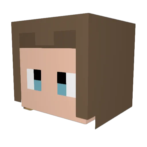 Foxmanrox Minecraft avatar head, 3D render