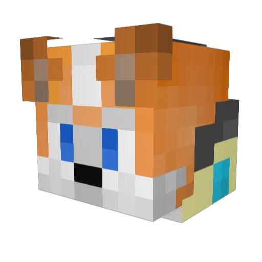 FoxmoticYT Minecraft avatar head, 3D render