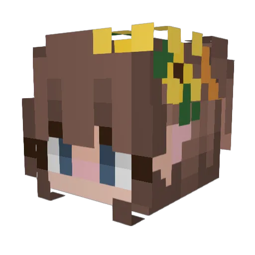 Foxopgamer Minecraft avatar head, 3D render