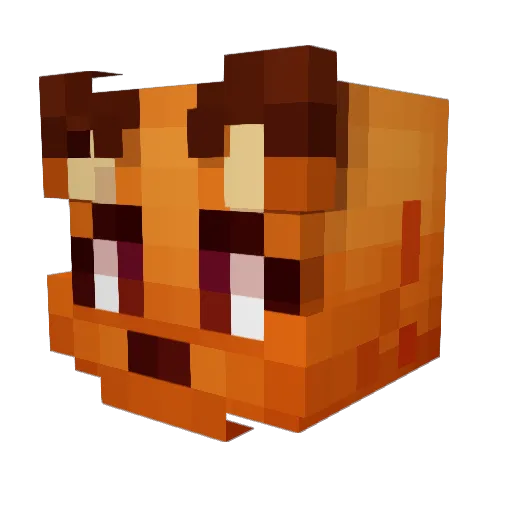 Foxparks Minecraft avatar head, 3D render