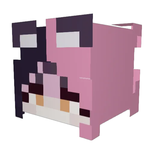 Foxpawbz07 Minecraft avatar head, 3D render