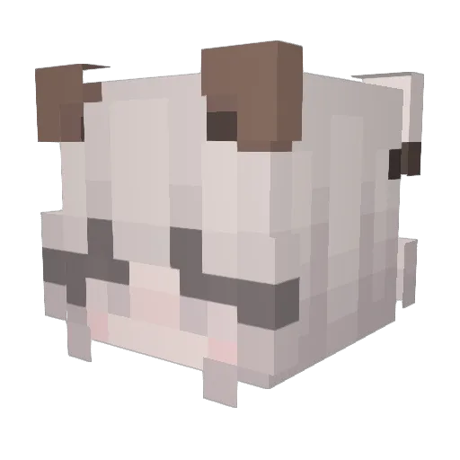 Foxsen_UwU Minecraft avatar head, 3D render