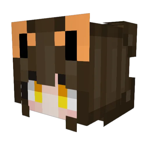 Foxsina Minecraft avatar head, 3D render