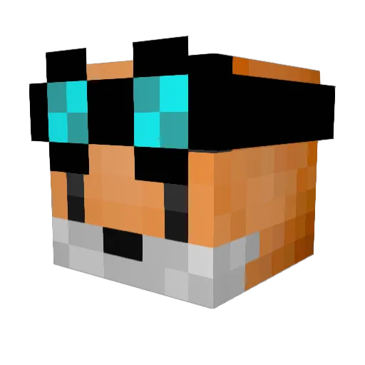 Foxter17 Minecraft avatar head, 3D render