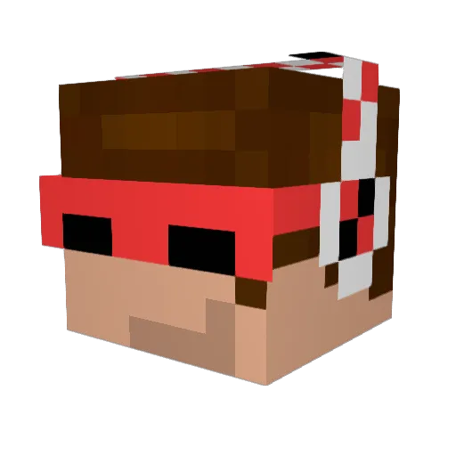 Foxtrot010 Minecraft avatar head, 3D render