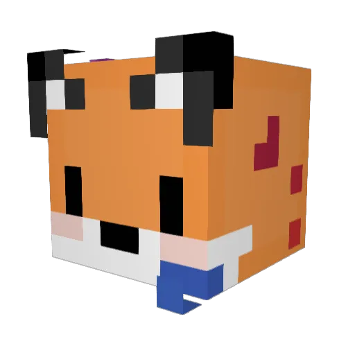 Foxtrot5151 Minecraft avatar head, 3D render