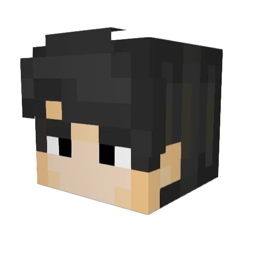 Foxtrot76 Minecraft avatar head, 3D render