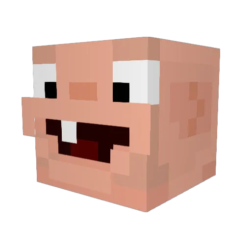 FoxtrotAlfa69 Minecraft avatar head, 3D render