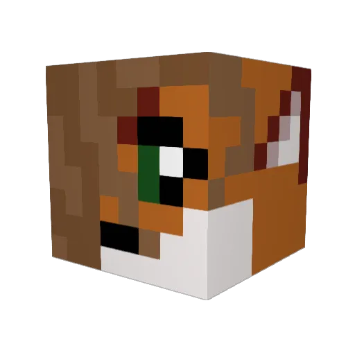 Foxtrrott Minecraft avatar head, 3D render