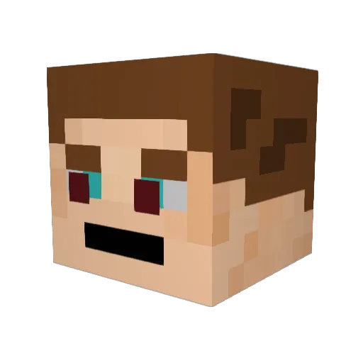 Foxtubeboy Minecraft avatar head, 3D render