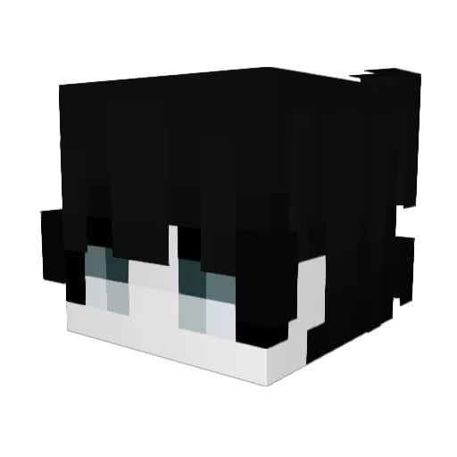 Foxu155 Minecraft avatar head, 3D render