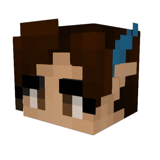 Foxx5526 Minecraft avatar head, 3D render