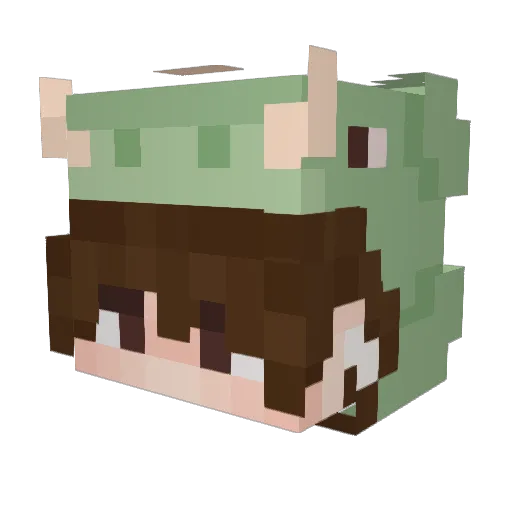 Foxx_737 Minecraft avatar head, 3D render