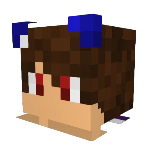 Foxxer4444 Minecraft avatar head, 3D render