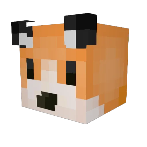 Foxxonn Minecraft avatar head, 3D render