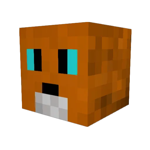 Foxxpaw Minecraft avatar head, 3D render