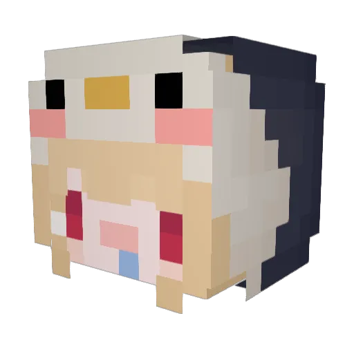 Foxxx11 Minecraft avatar head, 3D render