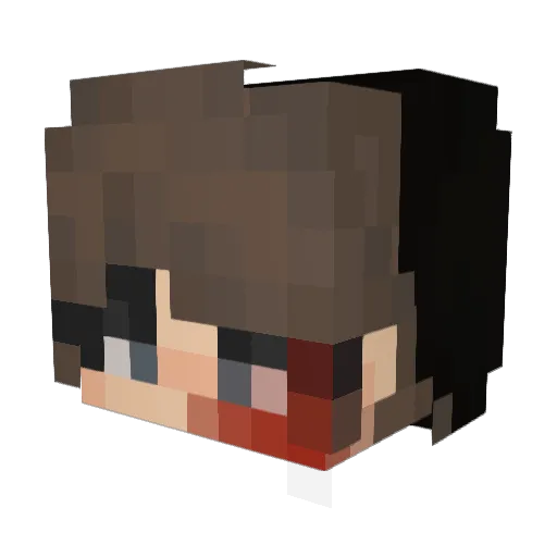 FoxxxCraft Minecraft avatar head, 3D render
