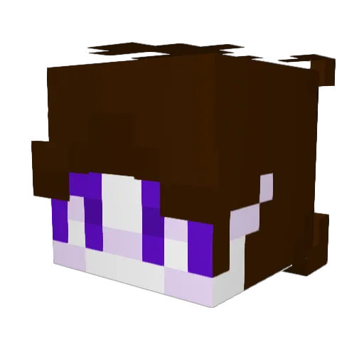 FoxxyGamer37171 Minecraft avatar head, 3D render