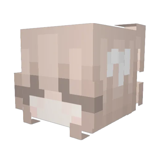 FoxxyYt02 Minecraft avatar head, 3D render