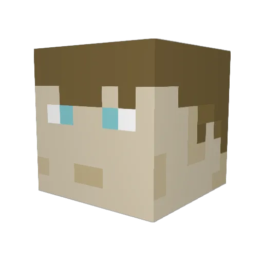 Foxy04220 Minecraft avatar head, 3D render
