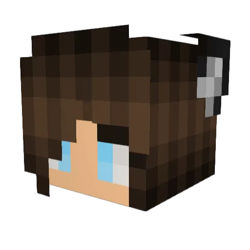 Foxy143 Minecraft avatar head, 3D render